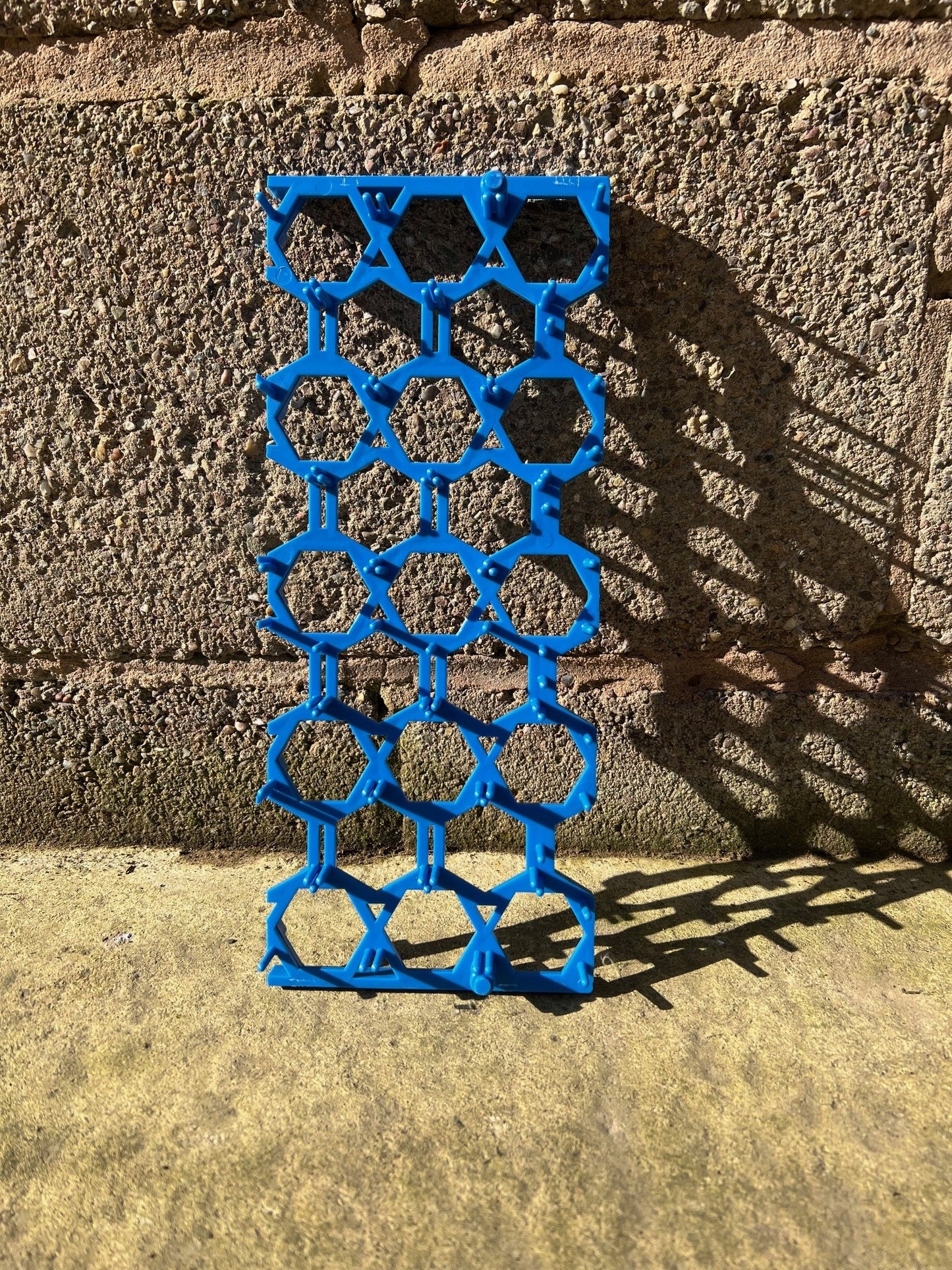 Blue Pheasant Egg 1/3 Insert