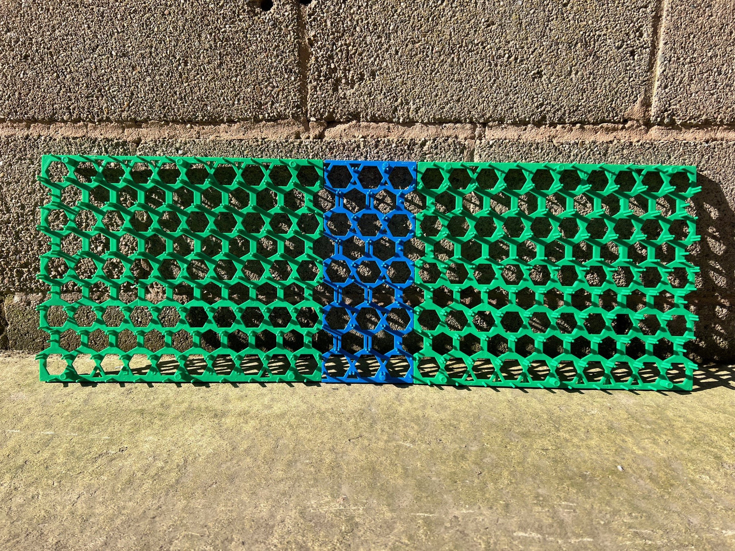 Full Tray Green and Blue Pheasant Egg Inserts