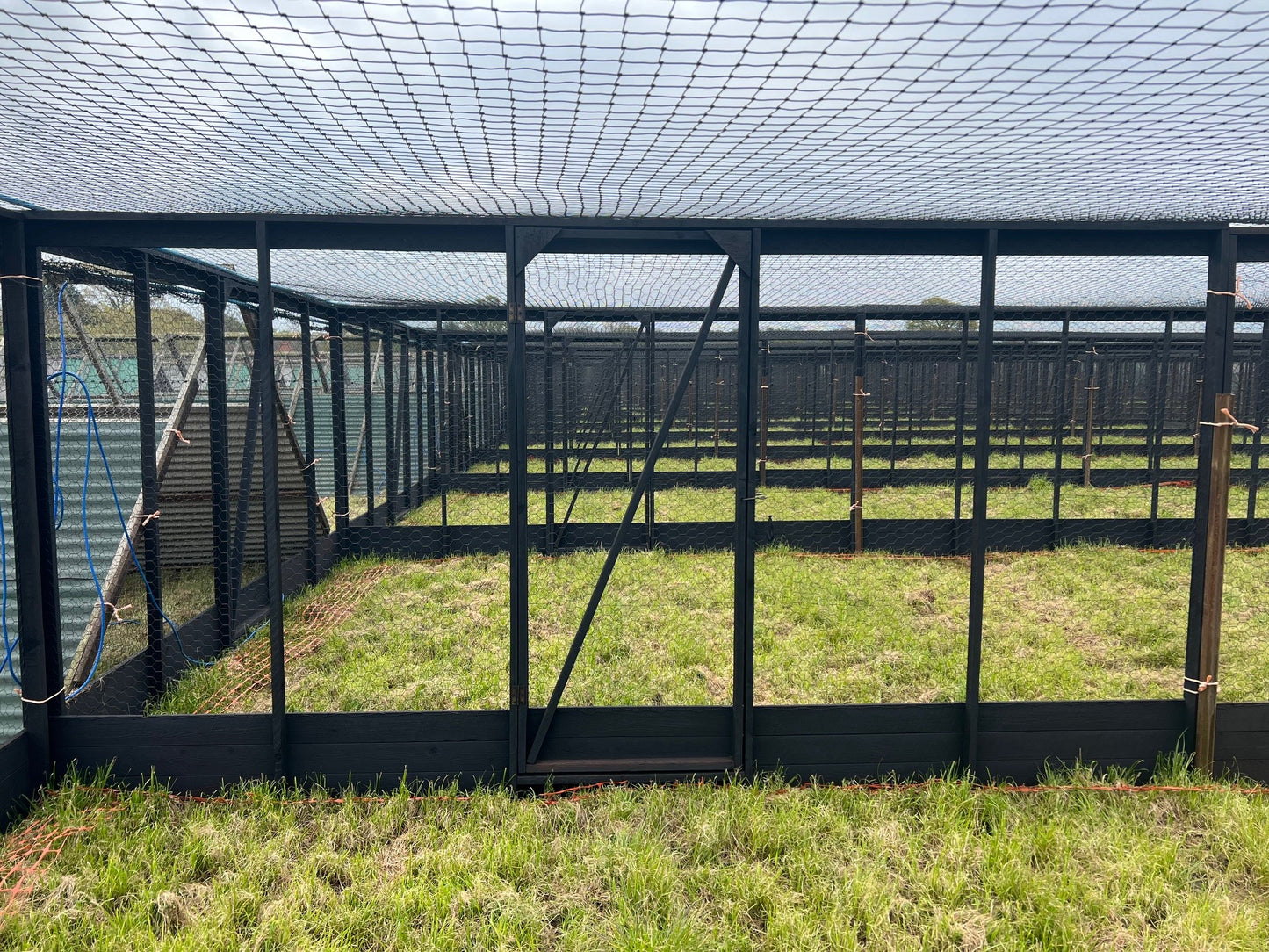 6ft Pen Sections (12 sections per lot)