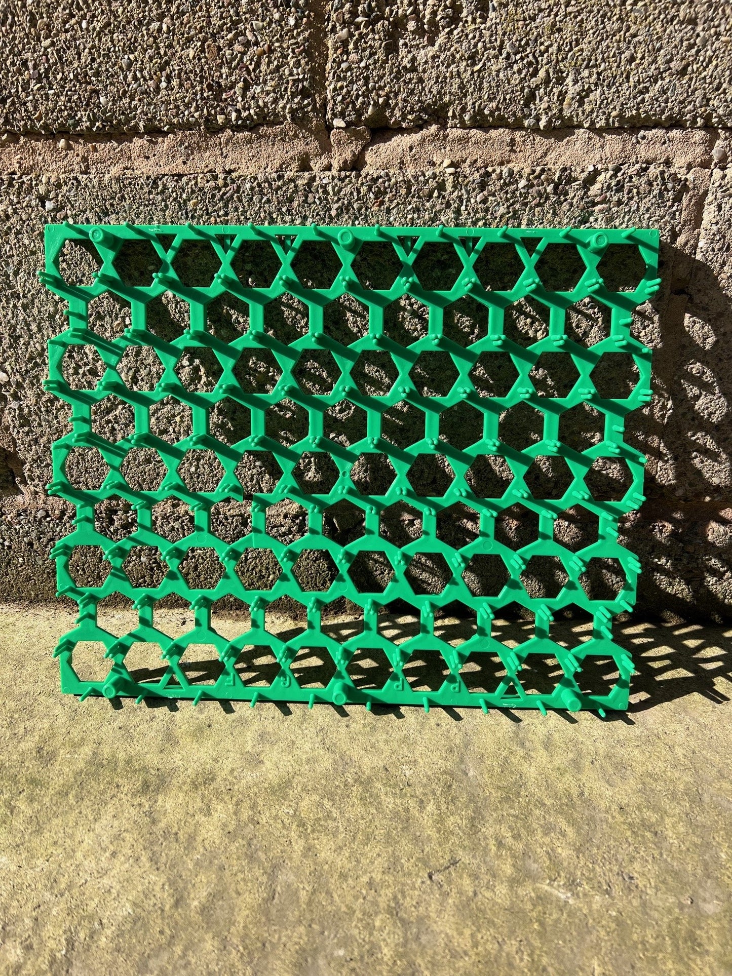 Green Pheasant Egg Insert